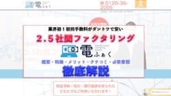 denfaku 1
