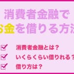 syouhisya